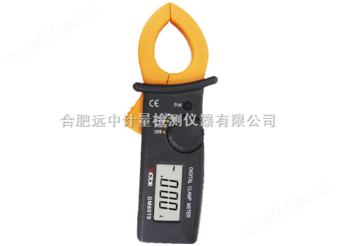 DM6019数字钳形表