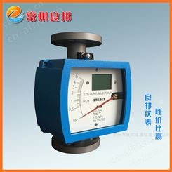 LZD-65/RR1/M9/B1/ESK金属管转子流量计厂家供货 双行液晶显示 质量好售后无忧