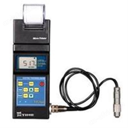 TT260覆层测厚仪