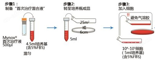 HFF-1人包皮成纤维细胞细胞系