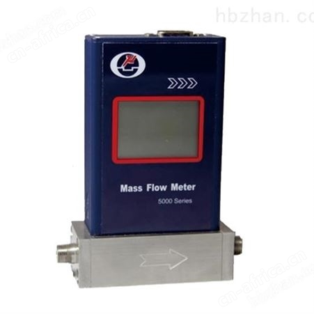 销售气体质量流量计价格