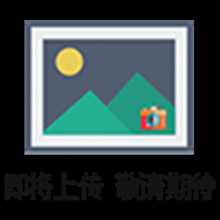 电热恒温鼓风干燥箱 带鼓风旋钮