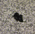 DLD2不良导致晶振休眠原因分析 DLD2不良导致晶振休眠原因分析