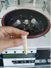 谷雨润万物，真空助实验：样品干燥不再难